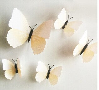 wall stickers